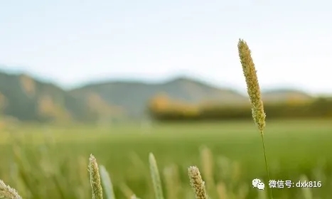 通玄賦(三) 通玄賦(三)