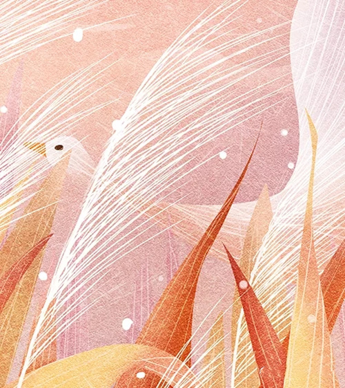 用三才看六親(一) 用三才看六親(一)