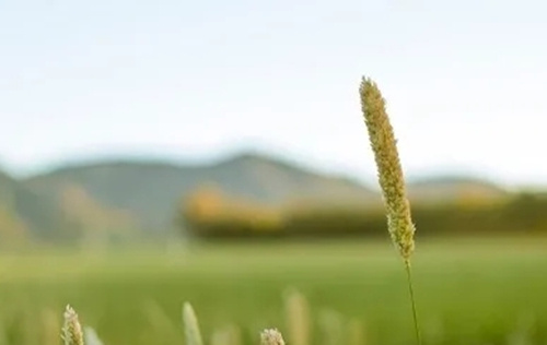 職場成敗很關(guān)鍵 職場成敗很關(guān)鍵