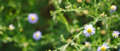 人生規(guī)跡(一) 人生規(guī)跡(一)